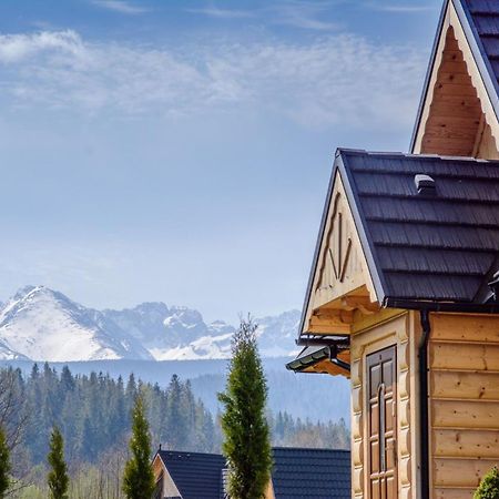 Domki Gawra Z Jacuzzi Zakopane Buitenkant foto